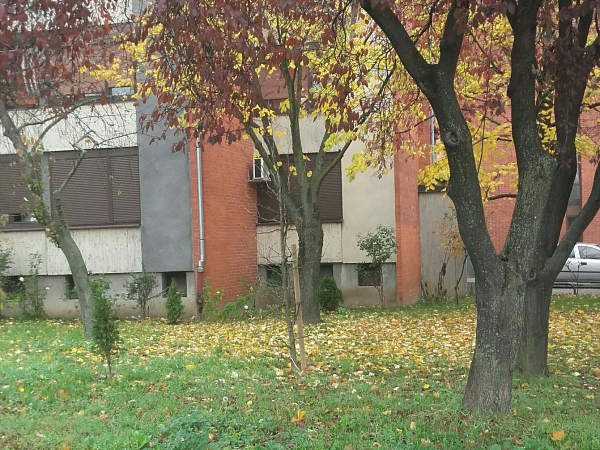 Apartment Ina Zagreb Luaran gambar